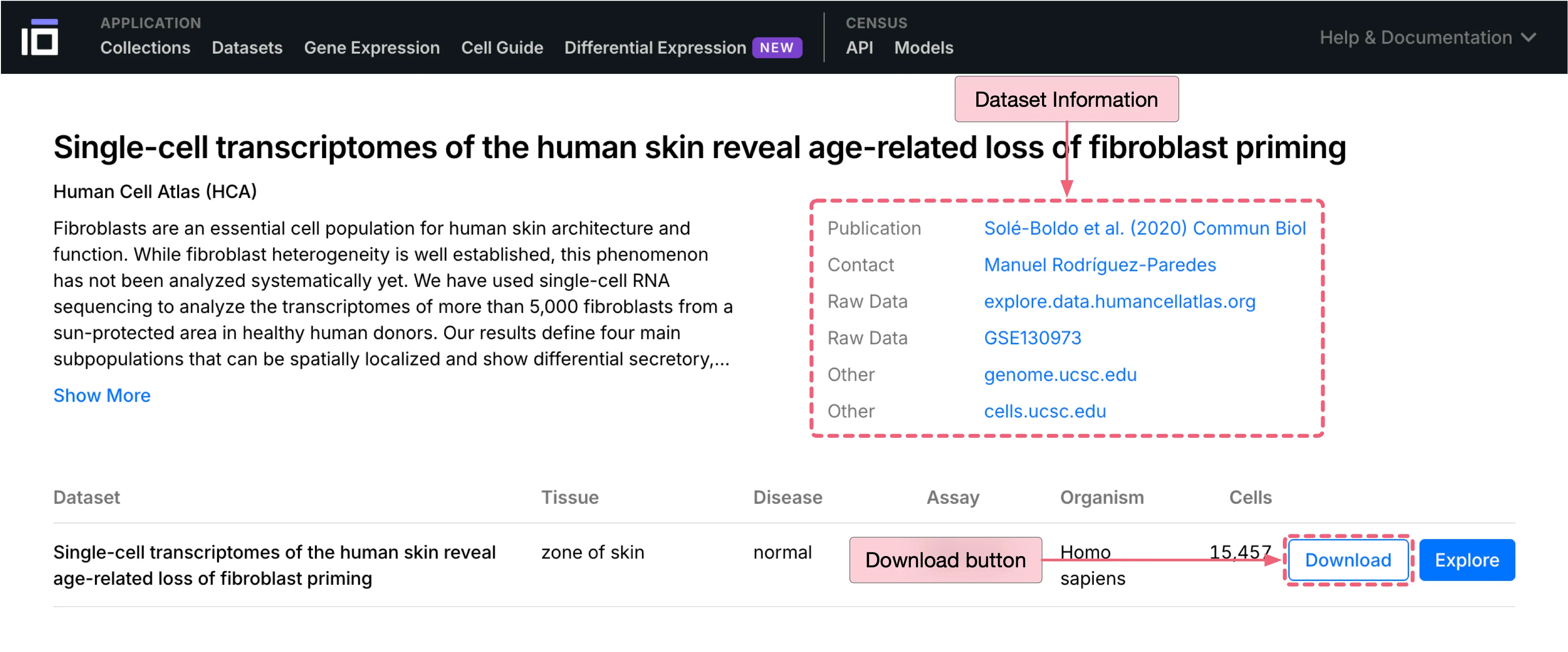 CELLxGENE Dataset Information