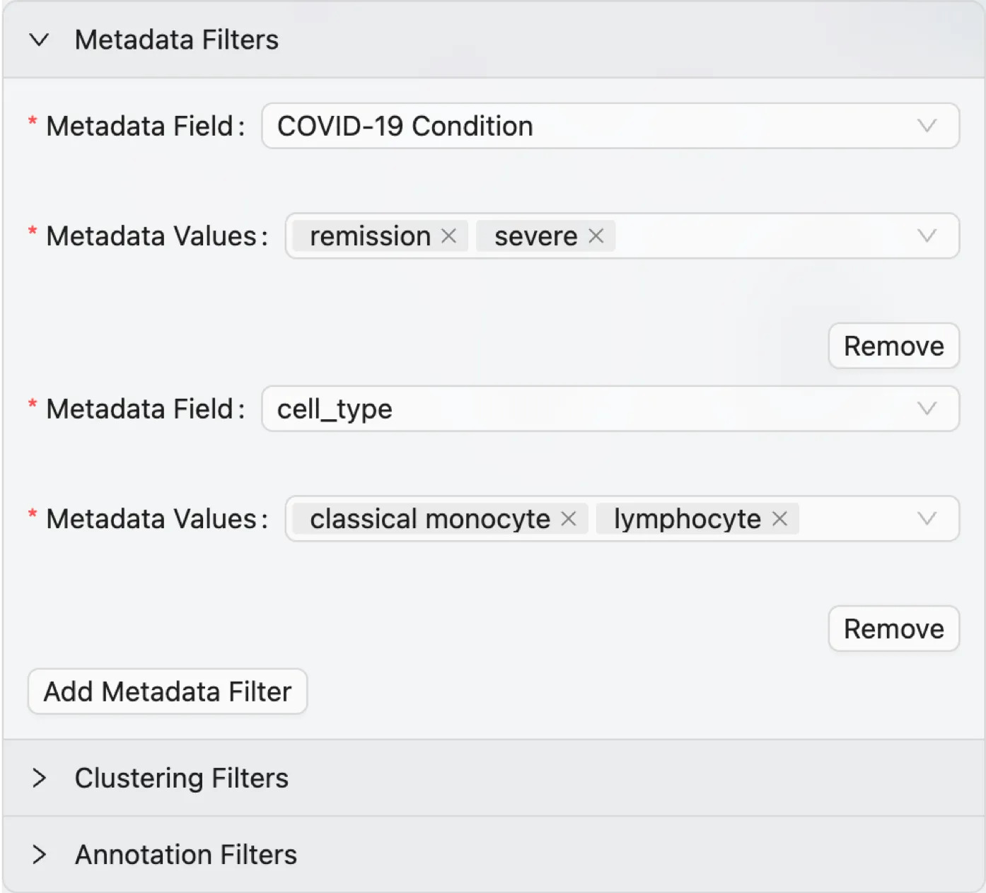 Metadata Filters