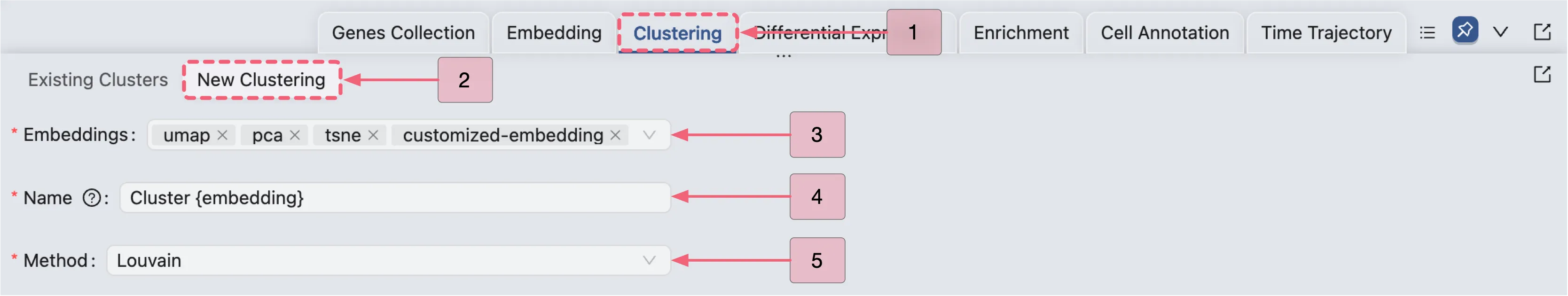 New Clustering Form
